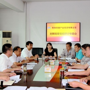 公司黨委召開(kāi)對(duì)照黨章黨規(guī)找差距研討專題會(huì)