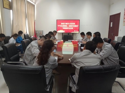 質(zhì)檢計量中心黨支部召開“嚴守紀律規(guī)矩、加強作風(fēng)建設(shè)”專題組織生活會